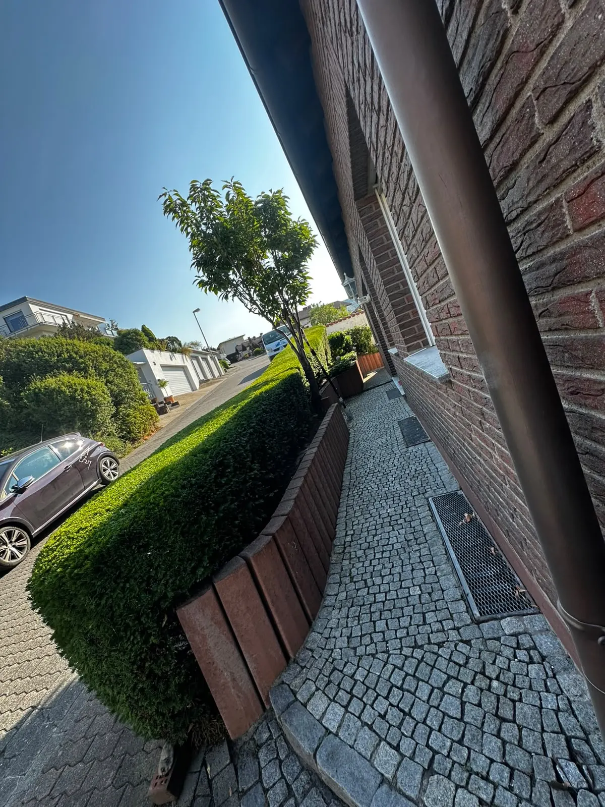 Dachrinnenreinigung