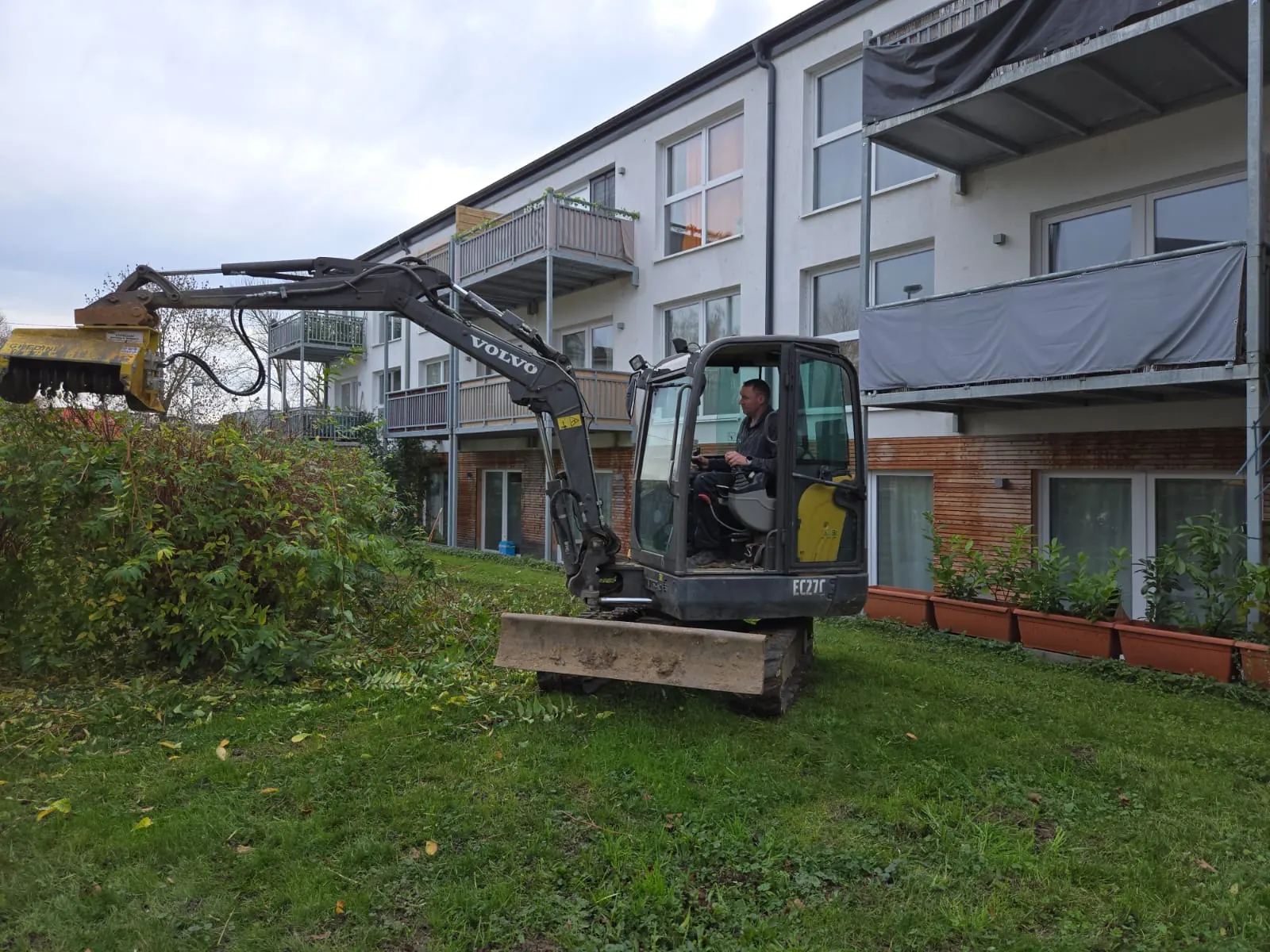 Freischneiden mit Minibagger und Mulcher